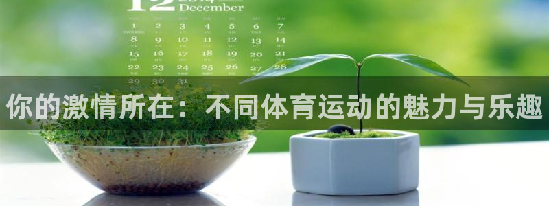 J9官网下载招商电话号码是多少啊：你的激情所在：不同