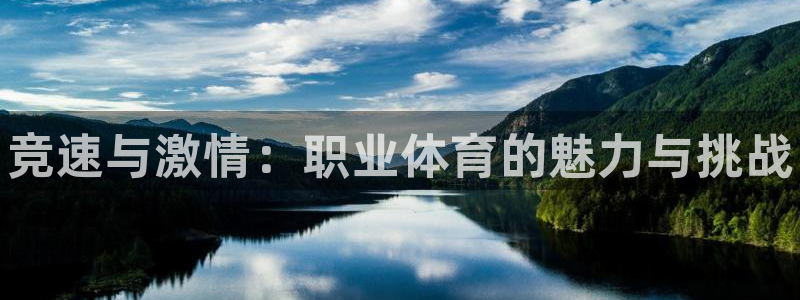 J9官网下载平台是正规平台吗安全吗：竞速与激情：职业