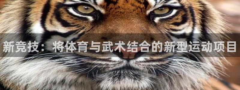 J9官网下载招商电话号码：新竞技：将体育与武术结合的