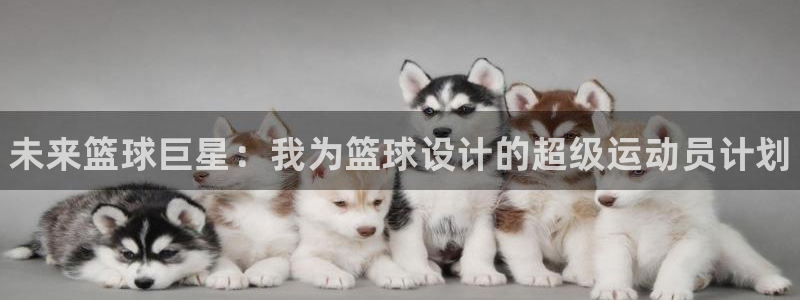 注册J9官方正版app：未来篮球巨星：我为篮球设计的