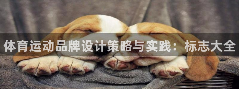 J9官方正版app集团简介：体育运动品牌设计策略与实