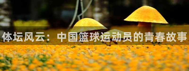 J9官网下载联系电话：体坛风云：中国篮球运动员的青春
