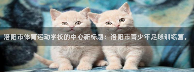 J9官方正版app娱乐下载：洛阳市体育运动学校的中心