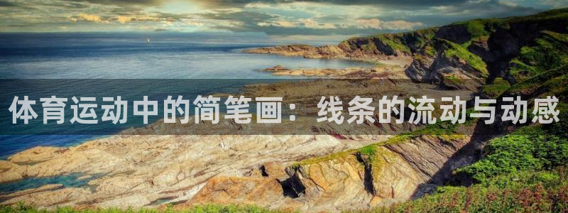 J9官网下载平台注册要钱吗是真的吗：体育运动中的简笔