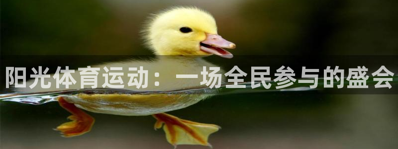J9官方平台体育：阳光体育运动：一场全民参与的盛会
