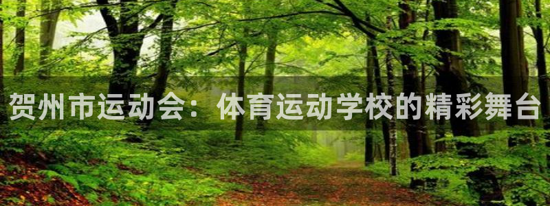 J9官方正版app五金厂：贺州市运动会：体育运动学校