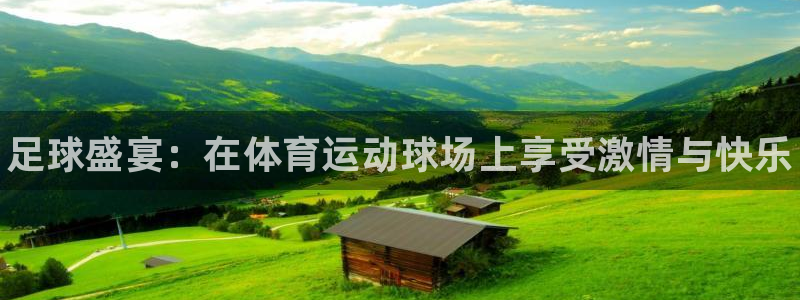 J9官方正版app官网：足球盛宴：在体育运动球场上享