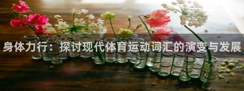 J9官方正版app集团官网网址