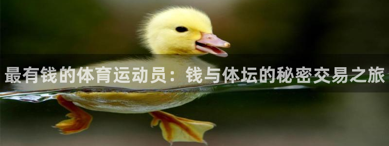 J9官网下载平台是正规平台吗安全吗：最有钱的体育运动员：钱与
