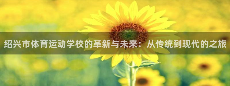 九游的金币党都去哪里了：绍兴市体育运