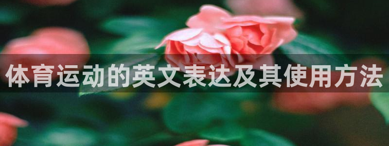 九游网登录入口：体育运动的英文表达及