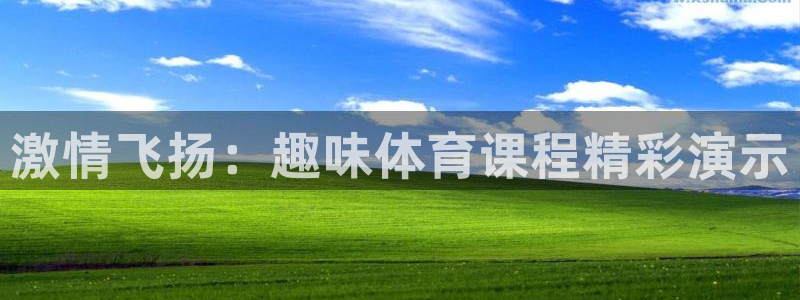 九游oppo版本：激情飞扬：趣味体育