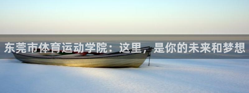 九游是哪个公司