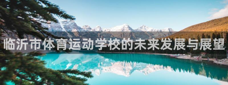 九游APP下载版官方：临沂市体育运动