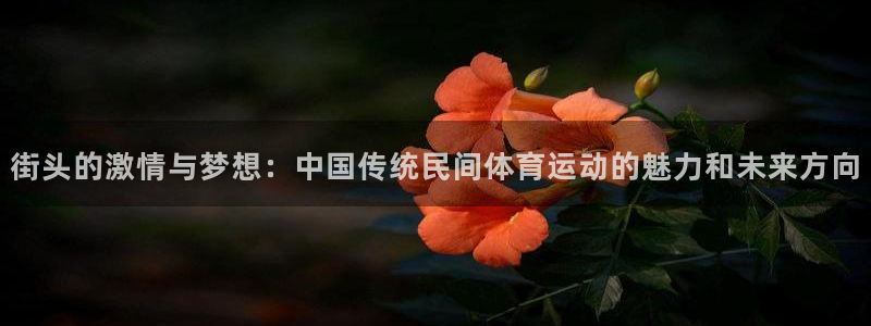  九九游戏盒子：街头的激情与梦想：中国传统民间体育运动的魅力和