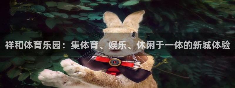  九游改密码了别人还能上去：祥和体育乐园：集体育、娱乐、休闲于