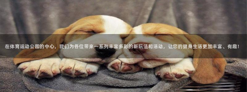  九游官网游戏：在体育运动公园的中心，我们为各位带来一系列丰富
