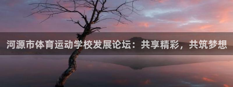  九游版app下载：河源市体育运动学校发展论坛：共享精彩，共筑