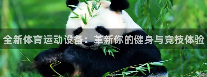  九游会官网入口登录：全新体育运动设备：革新你的健身与竞技体验