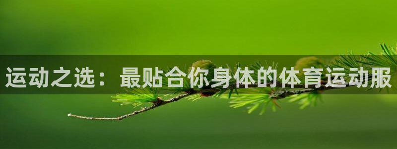 九游服光遇下载：运动之选：最贴合你身体的体育运动服