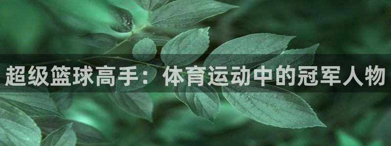 九游eve下载：超级篮球高手：体育运动中的冠军人物